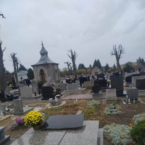 571361959_1346622880592038_8359867637986385467_n (1)