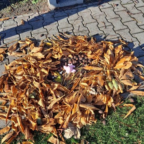 573321441_1347653493822310_6496797445314149658_n