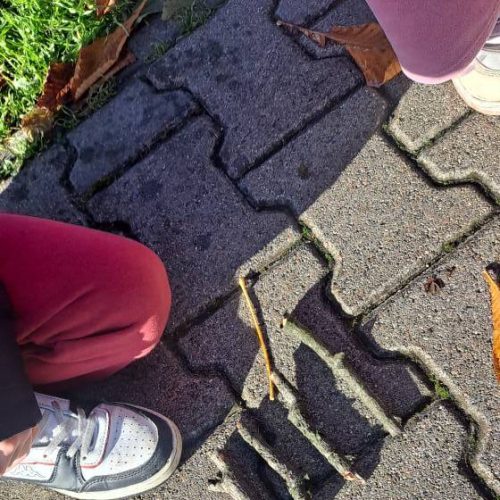 573576082_1347651890489137_8575556449848585053_n