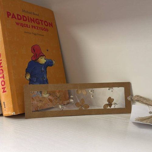 582487356_1359610445959948_5630171691586368316_n