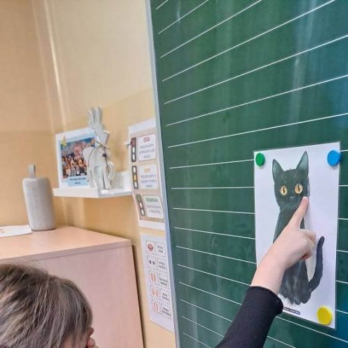 591256603_1370466208207705_878687141303945617_n