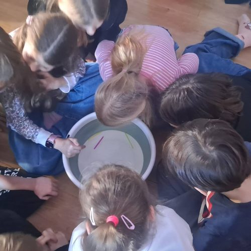 591462687_1370454831542176_1873859356365215939_n