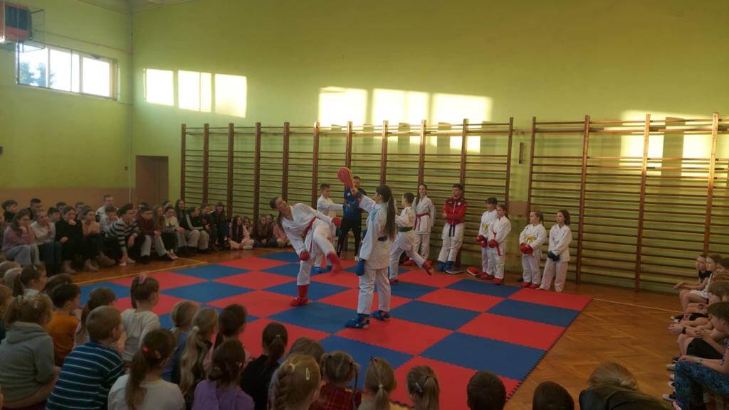 POKAZ KARATE