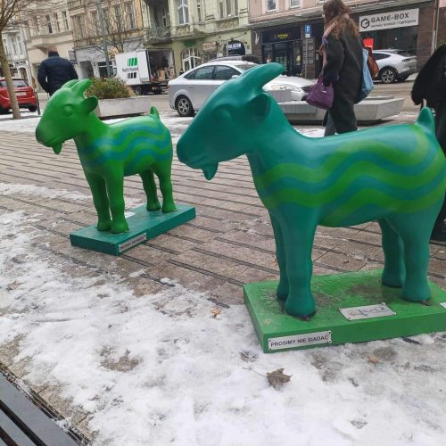 591416122_1372927867961539_7084369618541066053_n