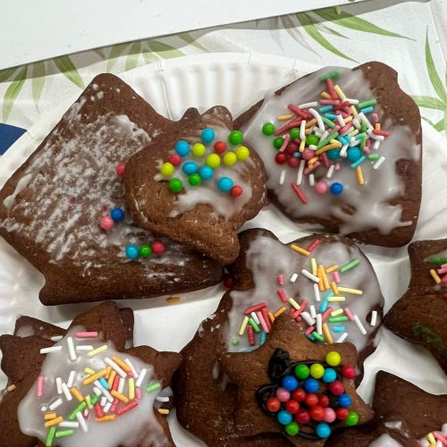 593423974_1374368024484190_9101914681633453510_n