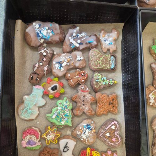 595381787_1374365234484469_828589281560711368_n