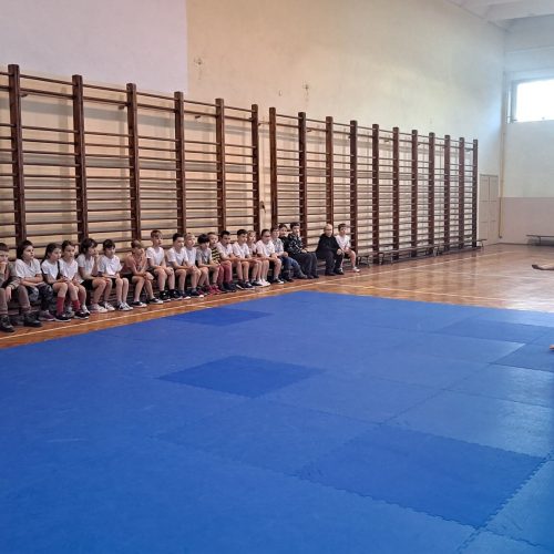 597201444_1380045747249751_8380506845784153891_n