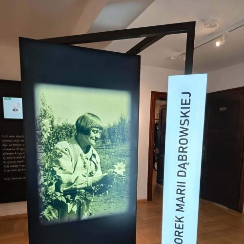 2f7785cd-cfe8-4442-9453-83577a5c8022