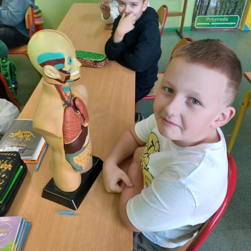 11038d1e-0908-4fc1-b78a-bd6de8fe0a95