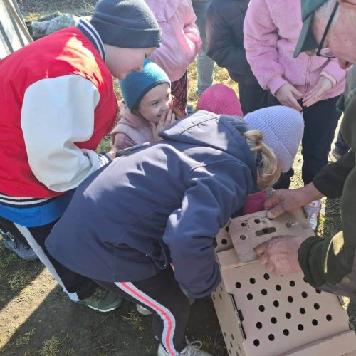 645644659_1446702143917444_1076527625016806934_n