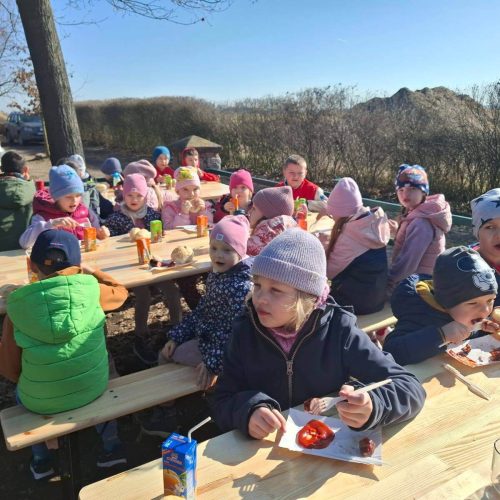 647314523_1446701530584172_361317431032261644_n