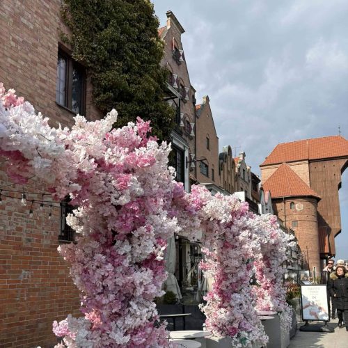 655010877_1463016542286004_7710068410790069029_n