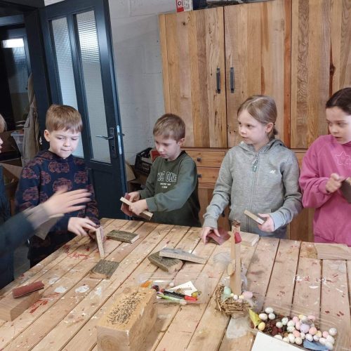 655575067_1463607425560249_4237543535953948891_n