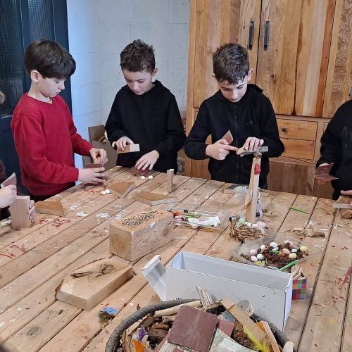 655940090_1463607545560237_8315347036159098285_n