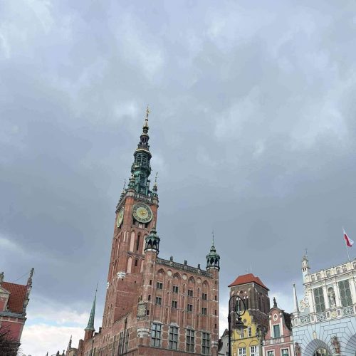 658160272_1463017042285954_6229352976226379_n