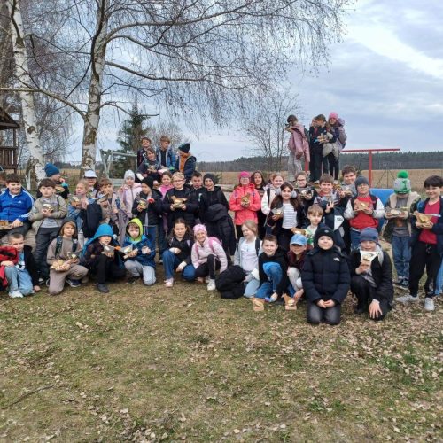 658974482_1463608502226808_7893517798452560889_n