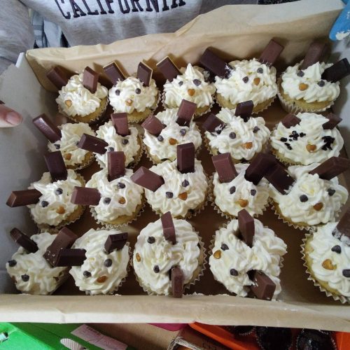 657182782_1469115968342728_5863205859343391362_n