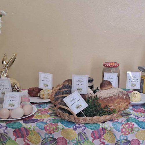 657616315_1469310584989933_3096814193898587553_n