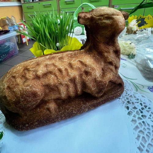 658051094_1469310318323293_4211293664893915293_n