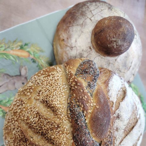 660803246_1469310021656656_6404191993365962196_n