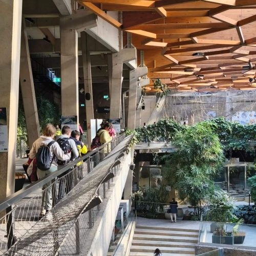 662330147_1474306847823640_1389981620142007052_n