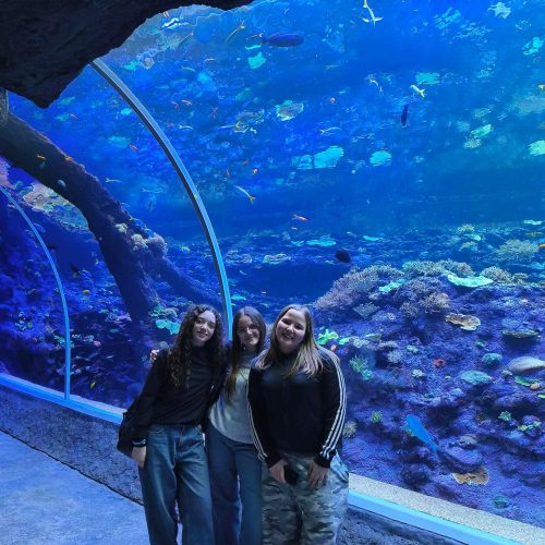 666738629_1474306787823646_6506568945419808533_n