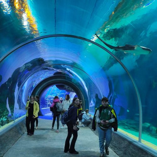 666828316_1474306747823650_3993615650679760027_n