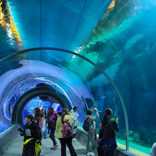 667378303_1474306651156993_6502362864870413206_n