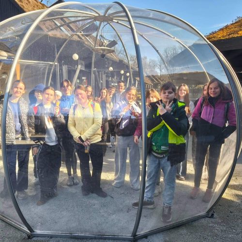 667768055_1474306974490294_192774815317985628_n