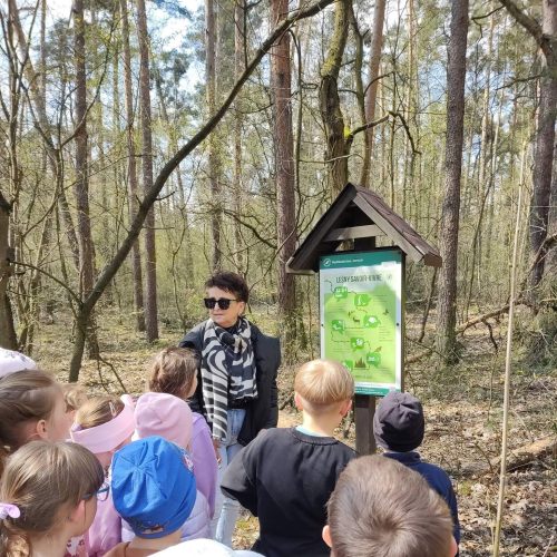 672336891_1481556730431985_3903747678208489169_n (1)