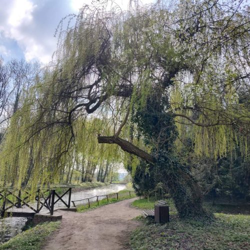 672548977_1481556677098657_1503153112888534274_n (1)