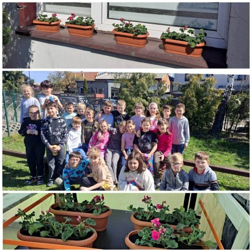 676671179_1486102999977358_3472120834271470170_n (1)