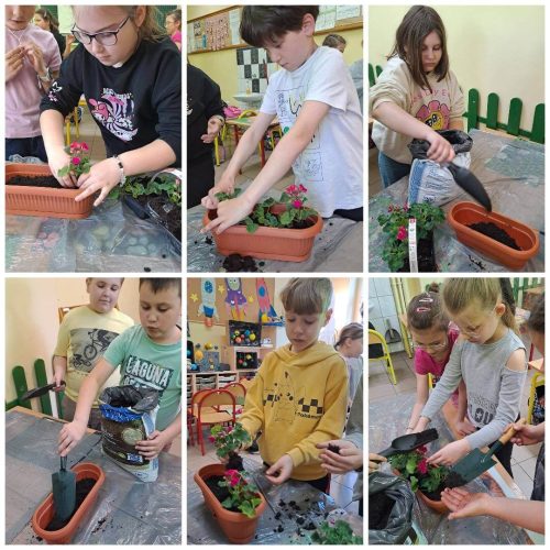 678315776_1486102879977370_5506437799690582273_n (1)