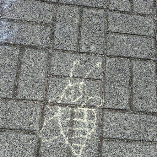 678992294_1487808833140108_4055694900122189162_n