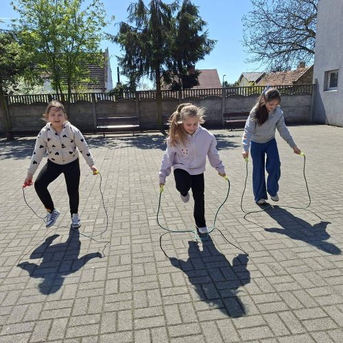 679901612_1487818446472480_1057333711937294350_n